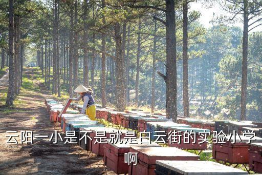 云阳一小是不是就是白云街的实验小学啊