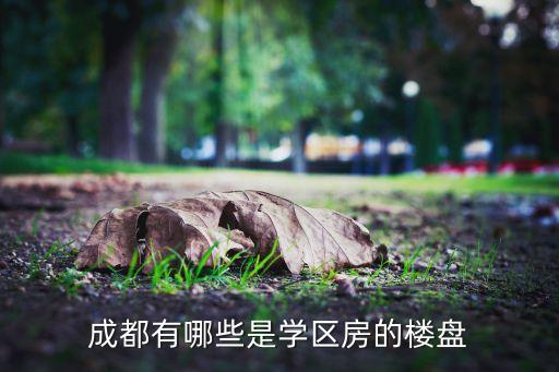 成都有哪些是学区房的楼盘