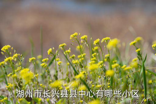 湖州市长兴县县中心有哪些小区