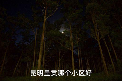 昆明呈贡哪个小区好