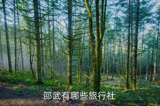 邵武有哪些旅行社