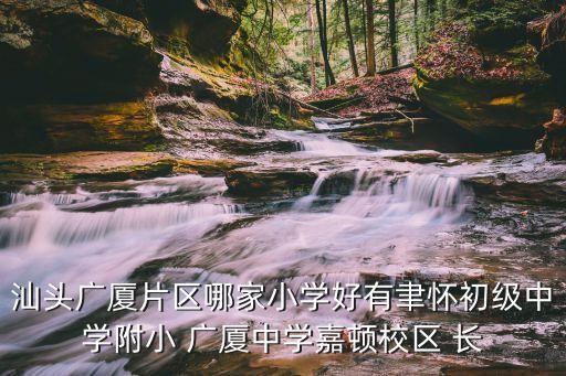 广厦小区配套学区房有哪些，汕头广厦片区哪家小学好有聿怀初级中学附小 广厦中学嘉顿校区 长
