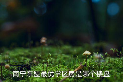 南宁东盟最优学区房是哪个楼盘