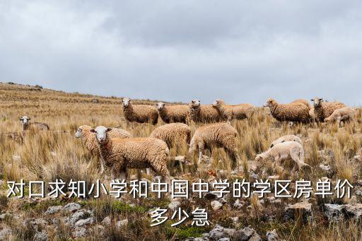 对口求知小学和中国中学的学区房单价多少急