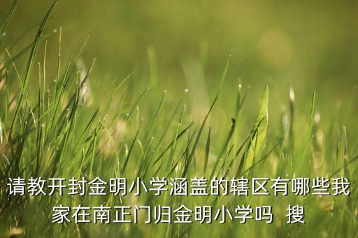 请教开封金明小学涵盖的辖区有哪些我家在南正门归金明小学吗  搜