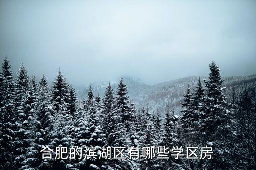滨湖四小的学区房有哪些，合肥滨湖新区有哪些小区