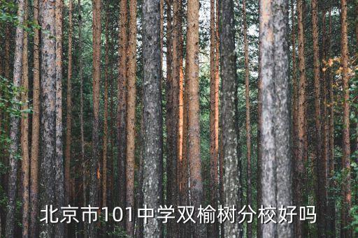 北京市101中学双榆树分校好吗