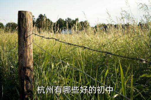 杭州有哪些好的初中