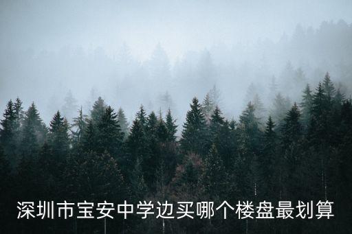 深圳市宝安中学边买哪个楼盘最划算