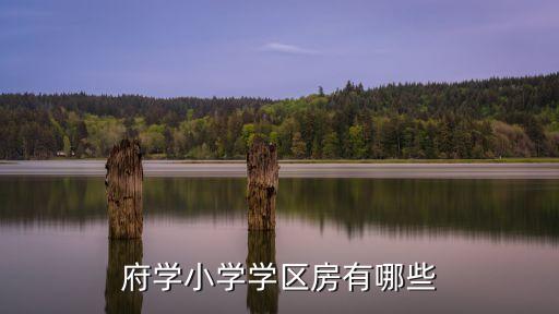 府学小学学区房有哪些