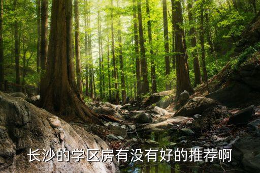 长沙的学区房有没有好的推荐啊