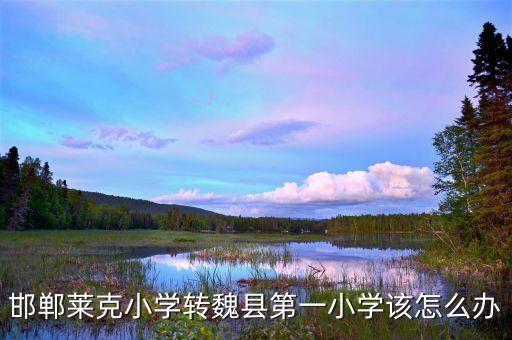 邯郸莱克小学转魏县第一小学该怎么办