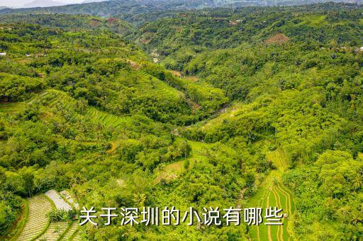 关于深圳的小说有哪些