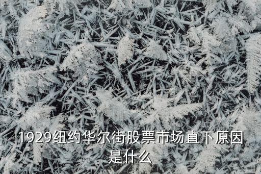 1929纽约华尔街股票市场直下原因是什么