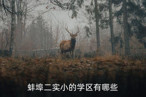 蚌埠二实小的学区有哪些