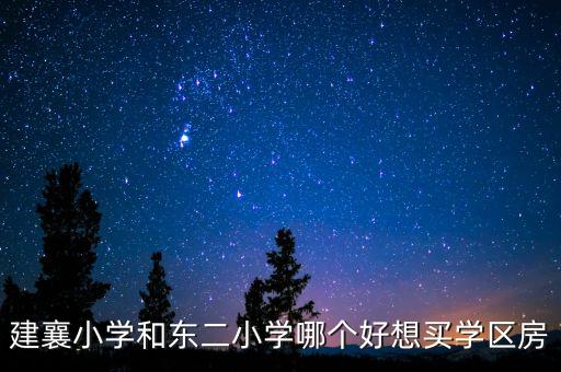 襄城好的学区房有哪些，请教小学择校和买哪个学区房的问题请千帆老师指点