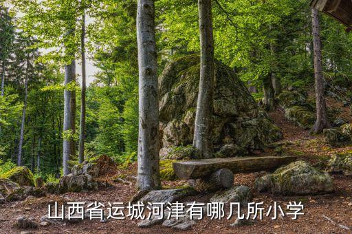 河津四小学都有哪些学区房，山西省运城河津有哪几所小学
