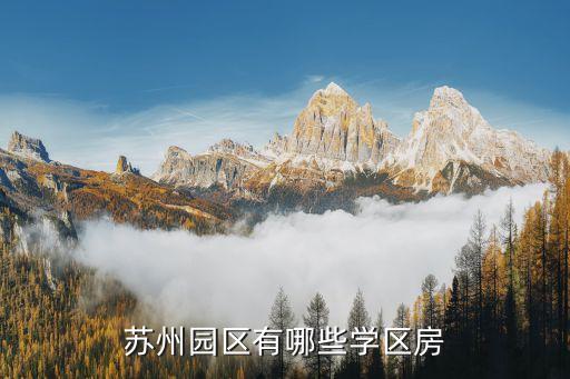 对口小学的学区房有哪些，都有哪些楼盘是学区房啊