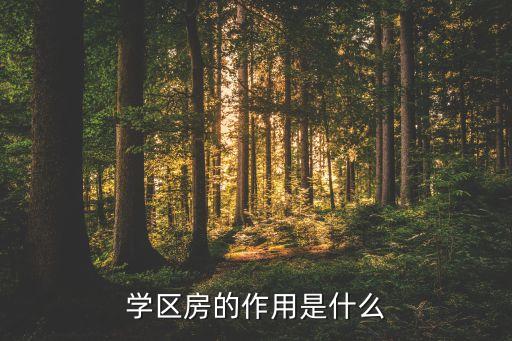 学区房的作用是什么