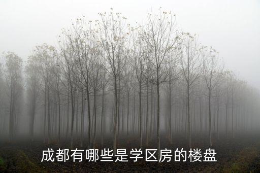 成都有哪些是学区房的楼盘