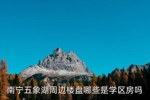 南宁五象湖学区房有哪些，南宁五象湖一带有什么学校