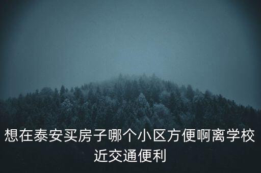 想在泰安买房子哪个小区方便啊离学校近交通便利