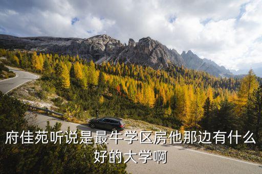 府佳苑听说是最牛学区房他那边有什么好的大学啊