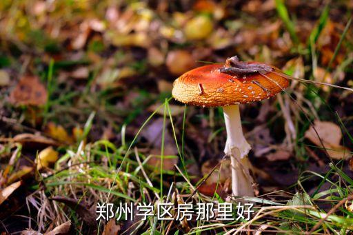 郑州学区房那里好