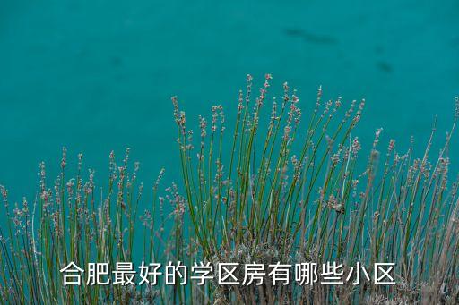 合肥最好的学区房有哪些小区