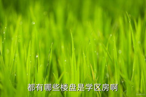 都有哪些楼盘是学区房啊