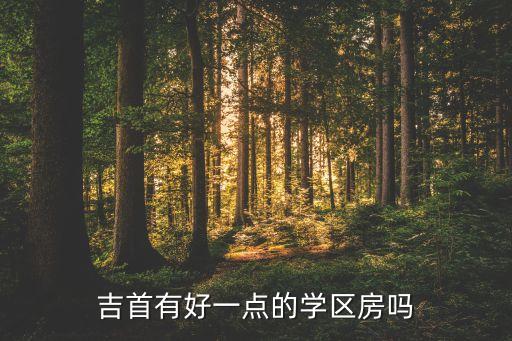 吉首有好一点的学区房吗
