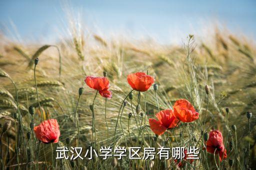 武汉小学学区房有哪些