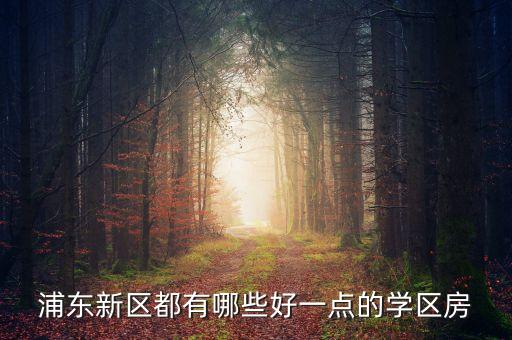 浦东新区都有哪些好一点的学区房