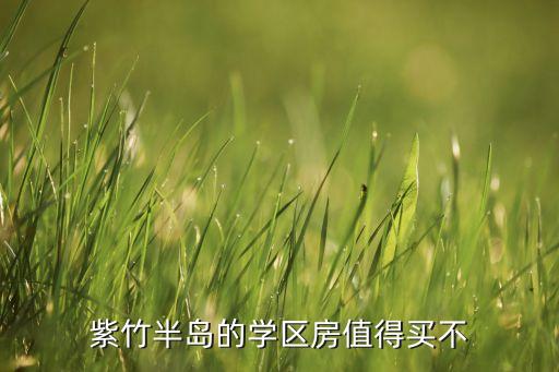 紫竹半岛的学区房值得买不