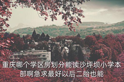 重庆哪个学区房划分能读沙坪坝小学本部啊急求最好以后二胎也能