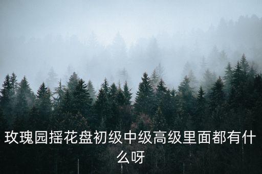 玫瑰园揺花盘初级中级高级里面都有什么呀
