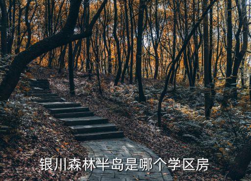 银川森林半岛是哪个学区房