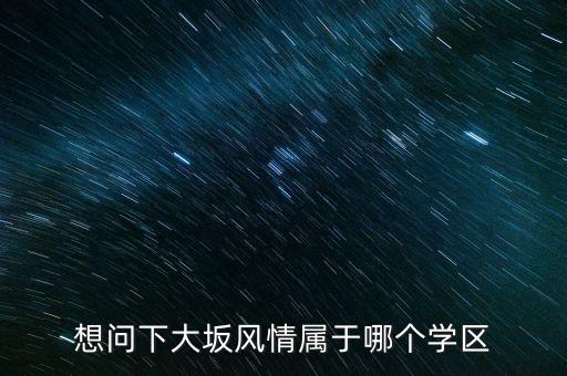 想问下大坂风情属于哪个学区