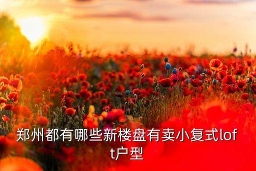 郑州都有哪些新楼盘有卖小复式loft户型