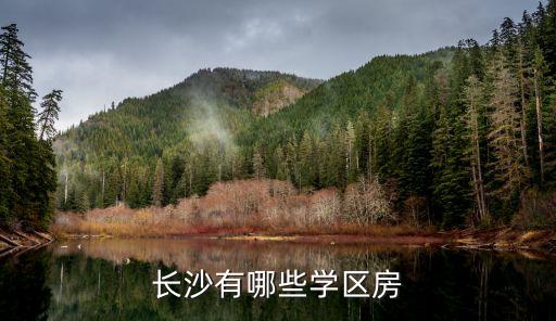 长沙有哪些学区房
