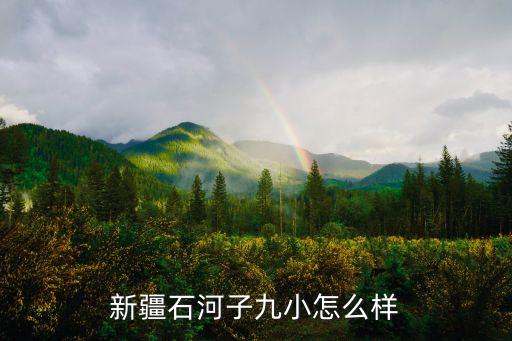 新疆石河子九小怎么样