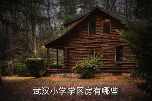 武汉小学学区房有哪些
