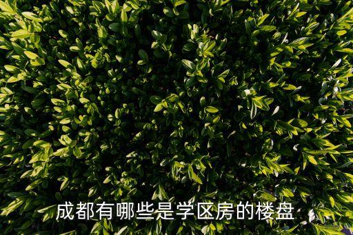 高三学区房有哪些，都有哪些楼盘是学区房啊