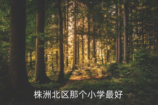 株洲北区那个小学最好