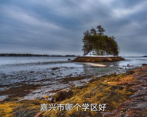 嘉兴市学区房都有哪些，浦江学区房有哪些