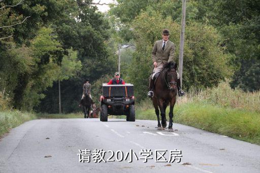 请教20小学区房