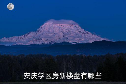安庆学区房新楼盘有哪些
