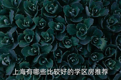 上海有哪些比较好的学区房推荐