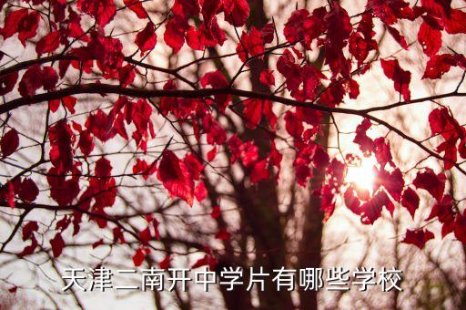 天津二南开中学片有哪些学校