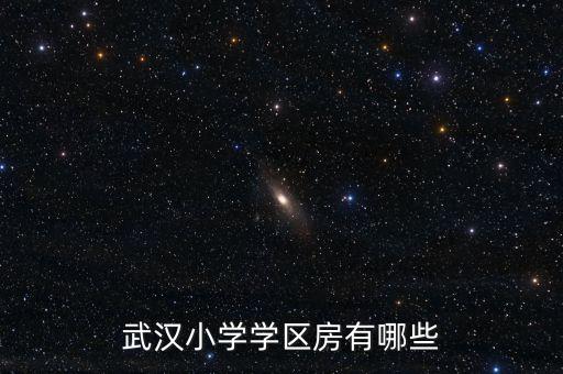 武汉小学学区房有哪些